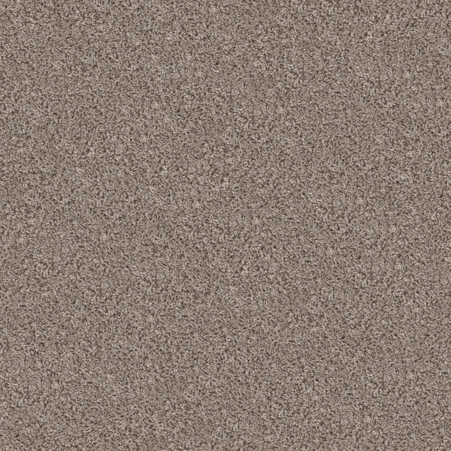BASIC MIX WT in Baltic Stone Carpet
