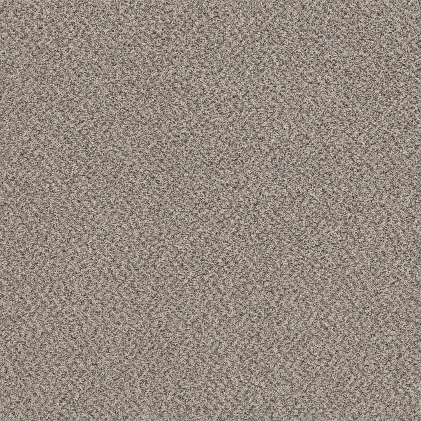 MIX'D ESSENTIALS WT in Dove Feather(A) Carpet