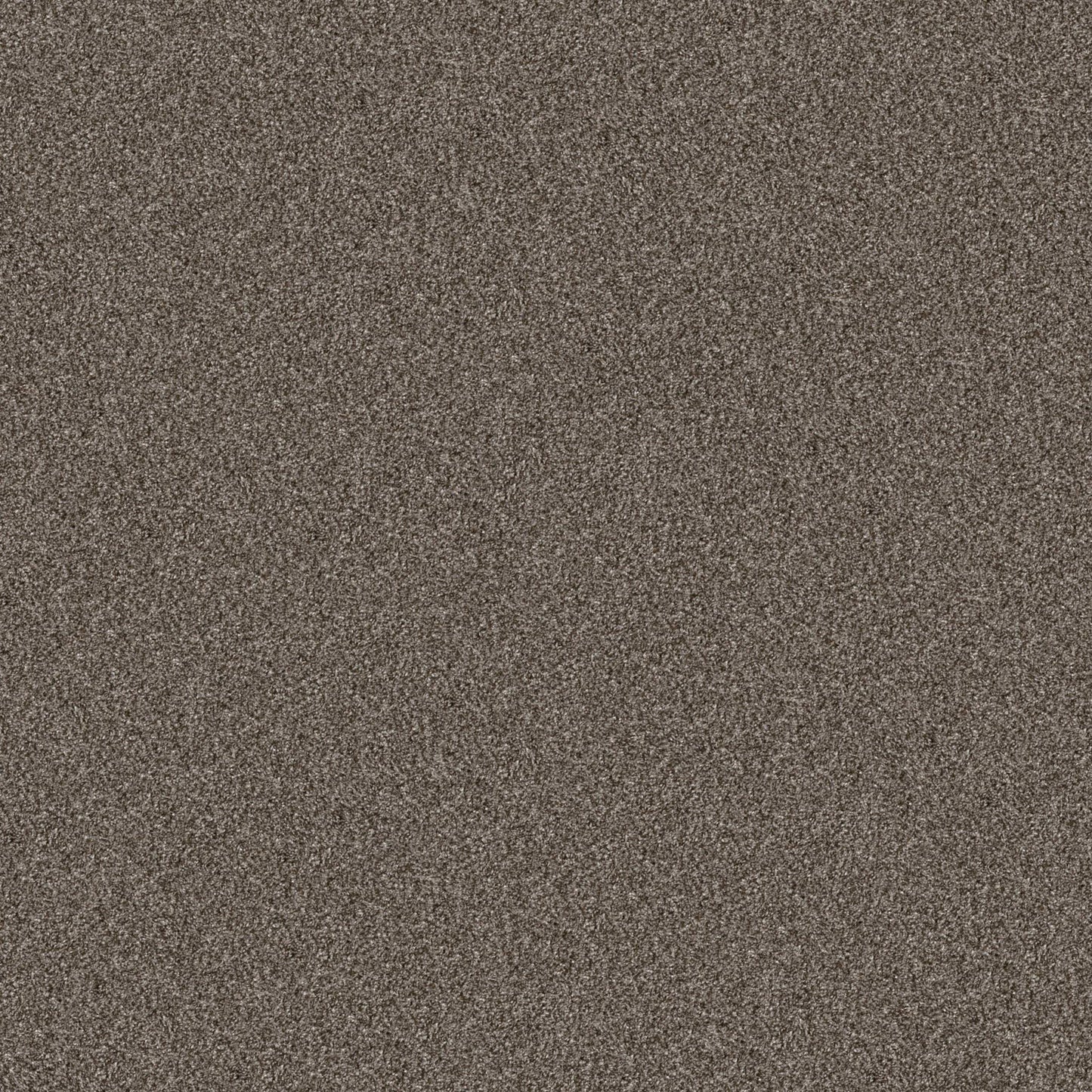 YES YOU CAN I 15' in Urban Rustic Carpet