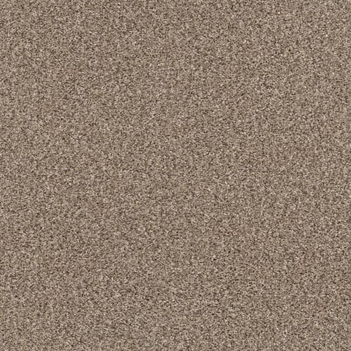 YES YOU CAN III 15' in Sea Shell