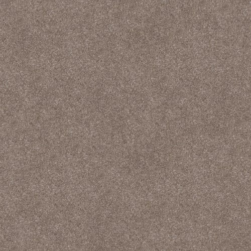 TRUSOLUTIONS III in Taupe Dream