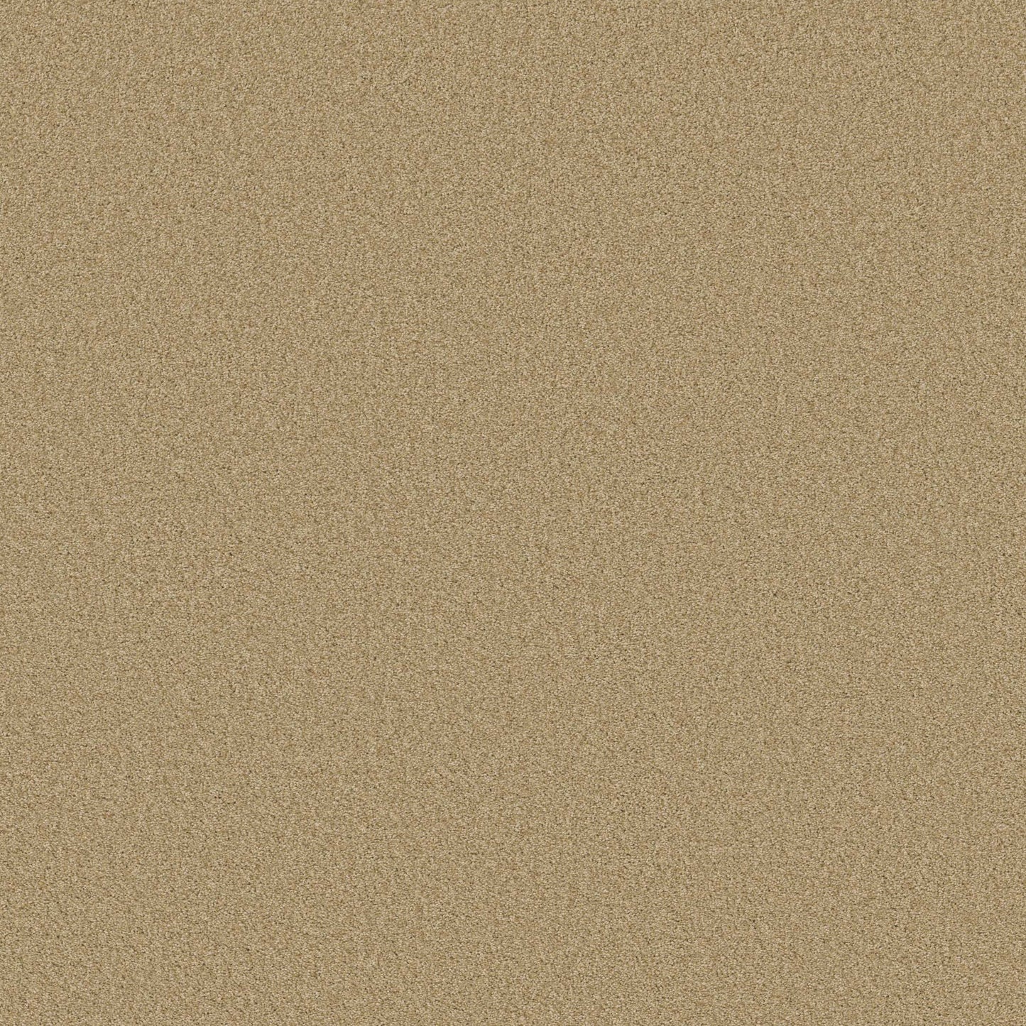 TONAL COMFORT I