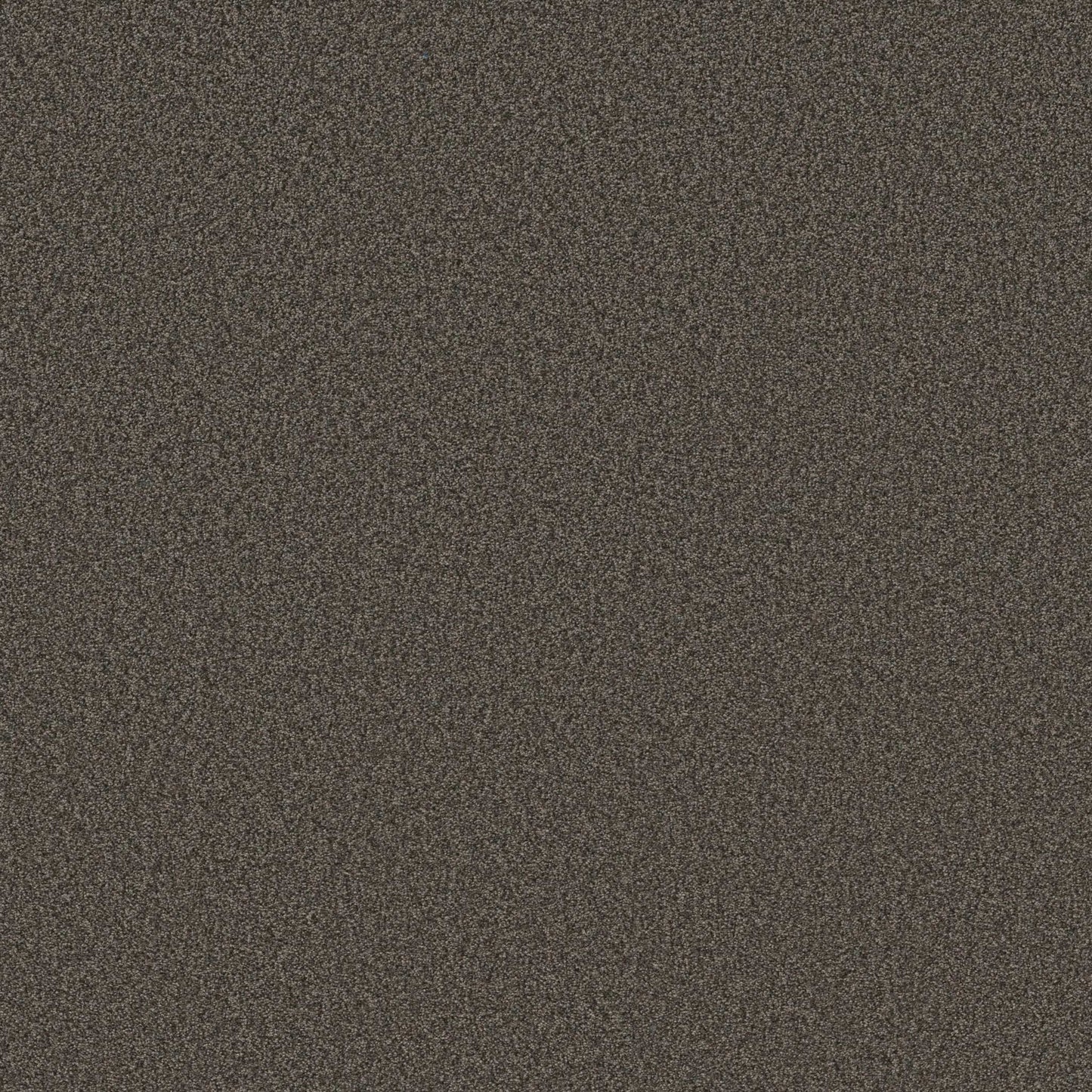 TONAL COMFORT I