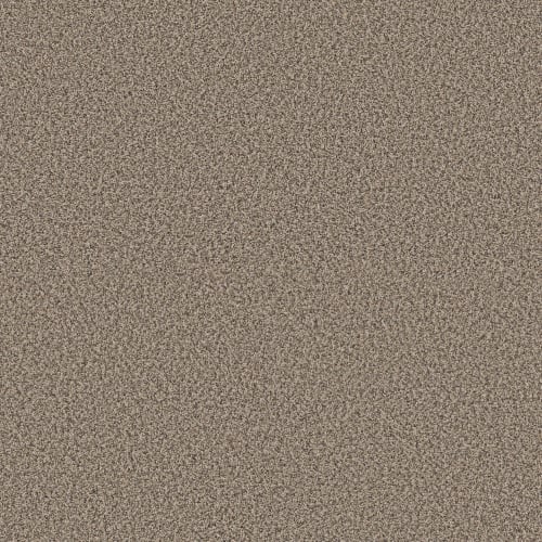 RENEWED ENERGY II in Khaki