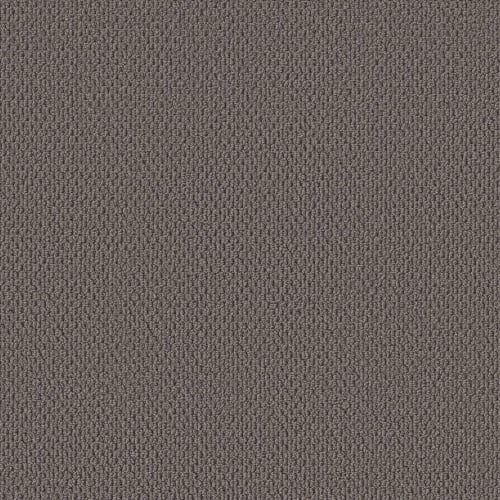 PERSPECTIVE PATH in Darkroom