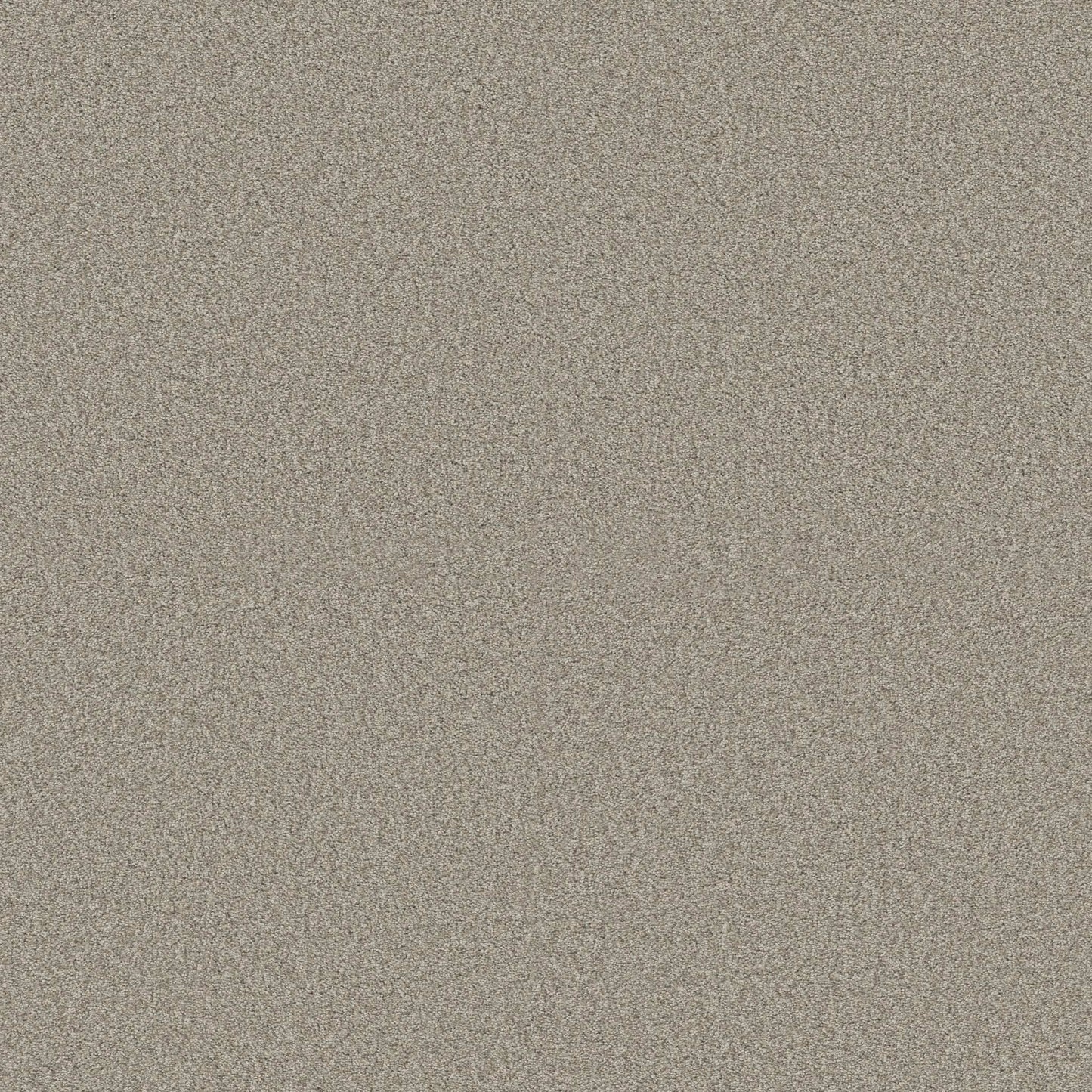 COMFORTING I in Rustic Carpet