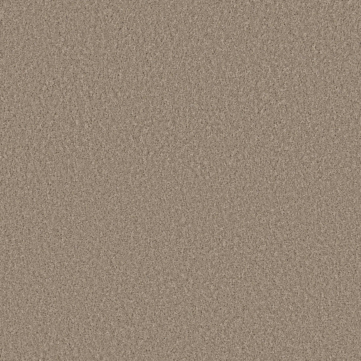 HIGH IMPACT S in Broadstreet Carpet