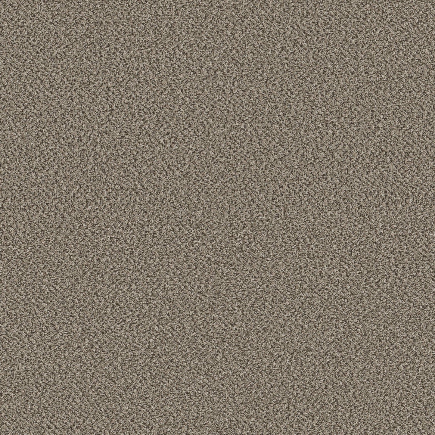 HIGH IMPACT B in Fairview Carpet