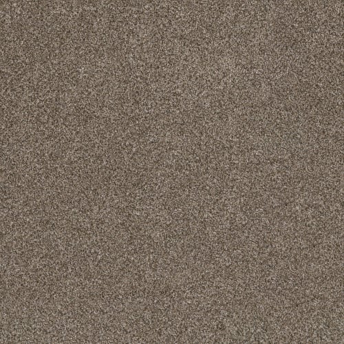SOFT EFFERVESCENCE in Mocha Latte'