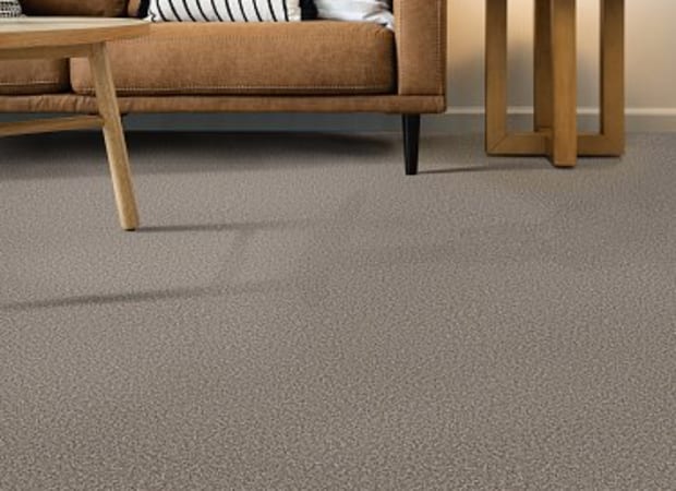 SOFT RADIANCE in Mushroom