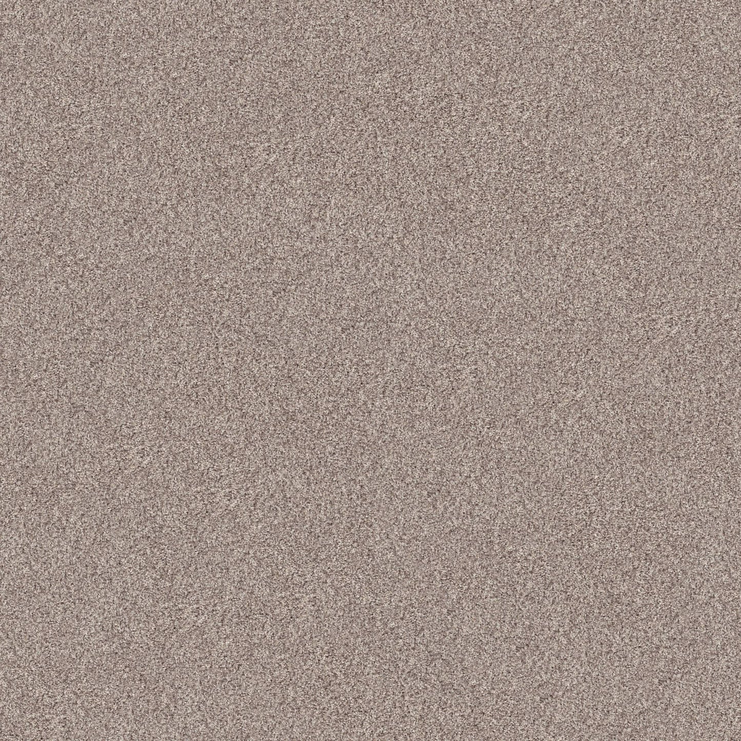 INLET SHORE 1 12' in Pale Ecru Carpet