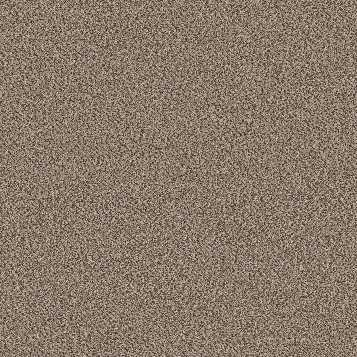 HIGH RANKING B in Escape Carpet