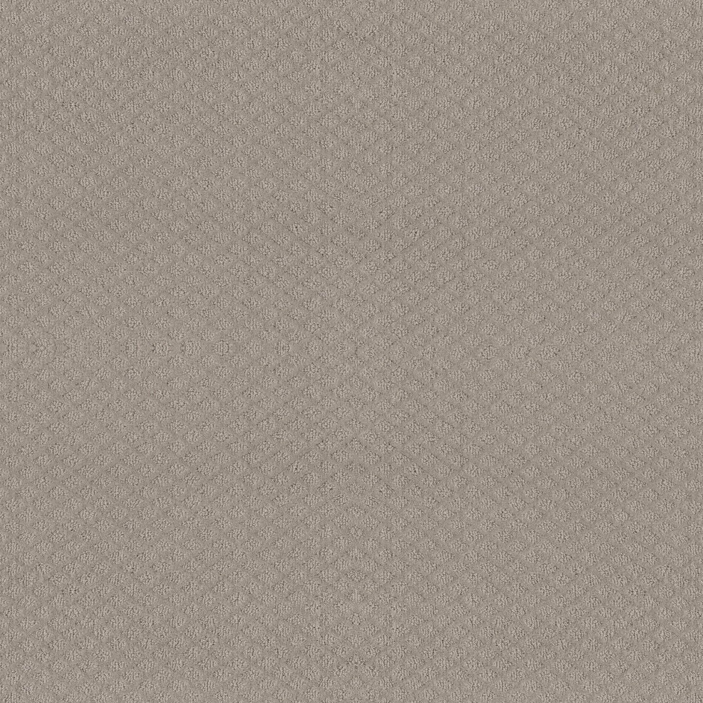MIDLAND CHARM in Quiet Moment Carpet