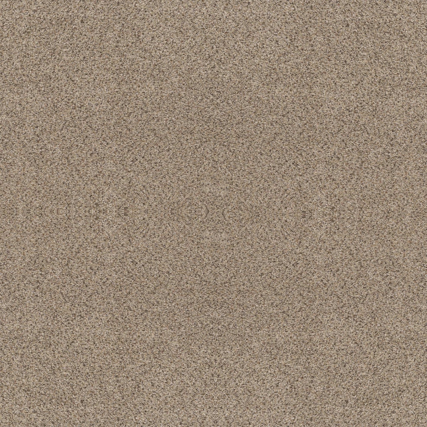 ABILENE II in Sand Castle Carpet