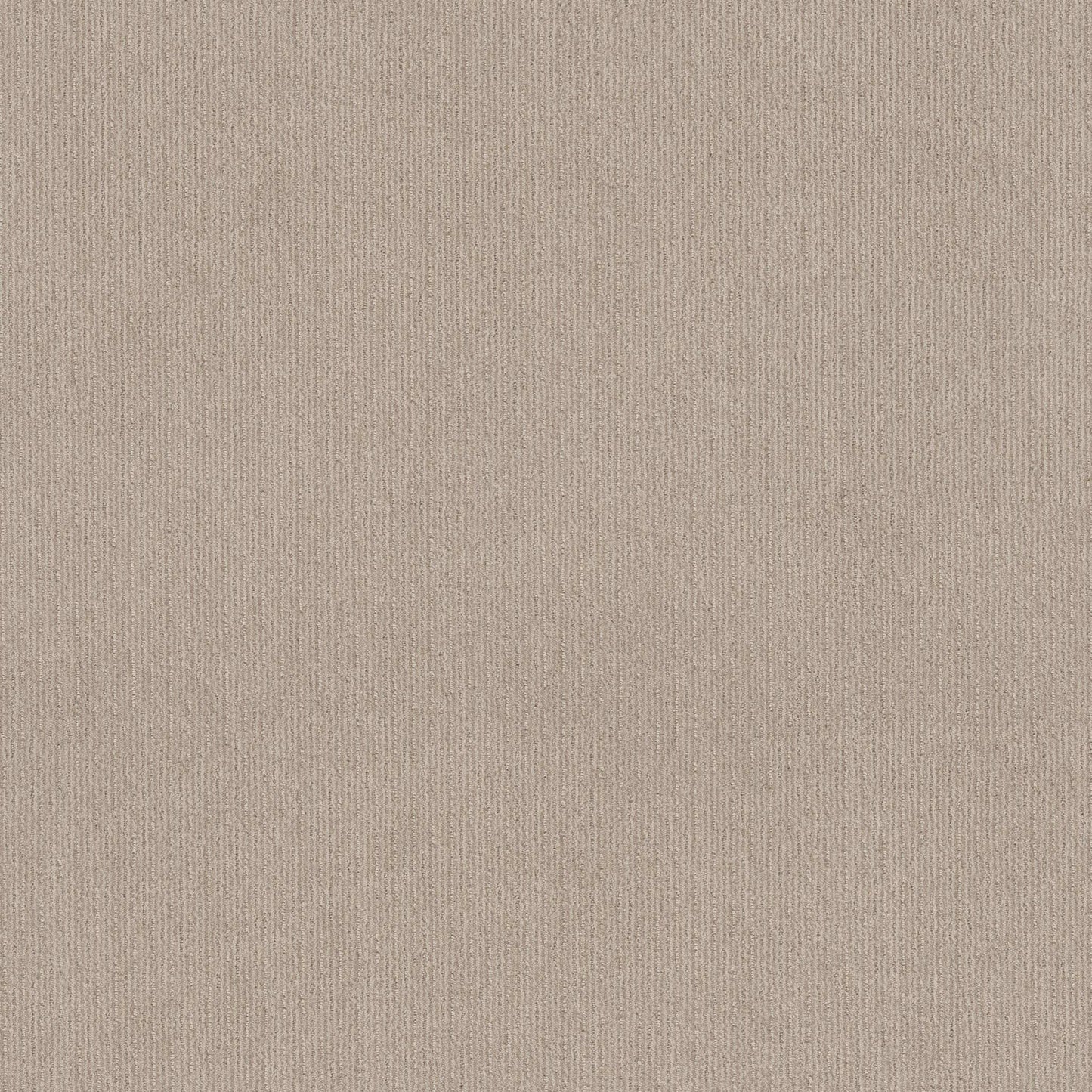 CEDAR CITY in Passageway Carpet