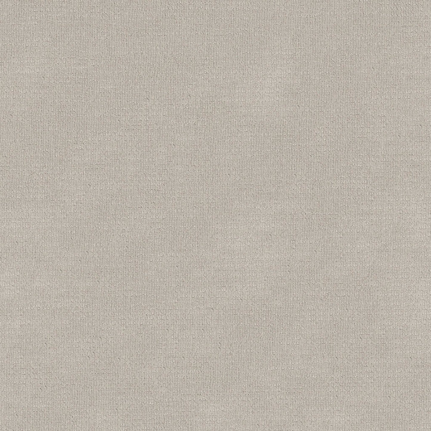 SIERRA VISTA in Rock Crystal Carpet