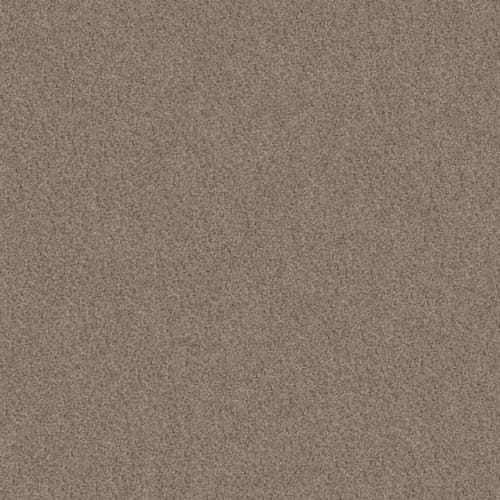 CANYON LAKE in Mesa Taupe