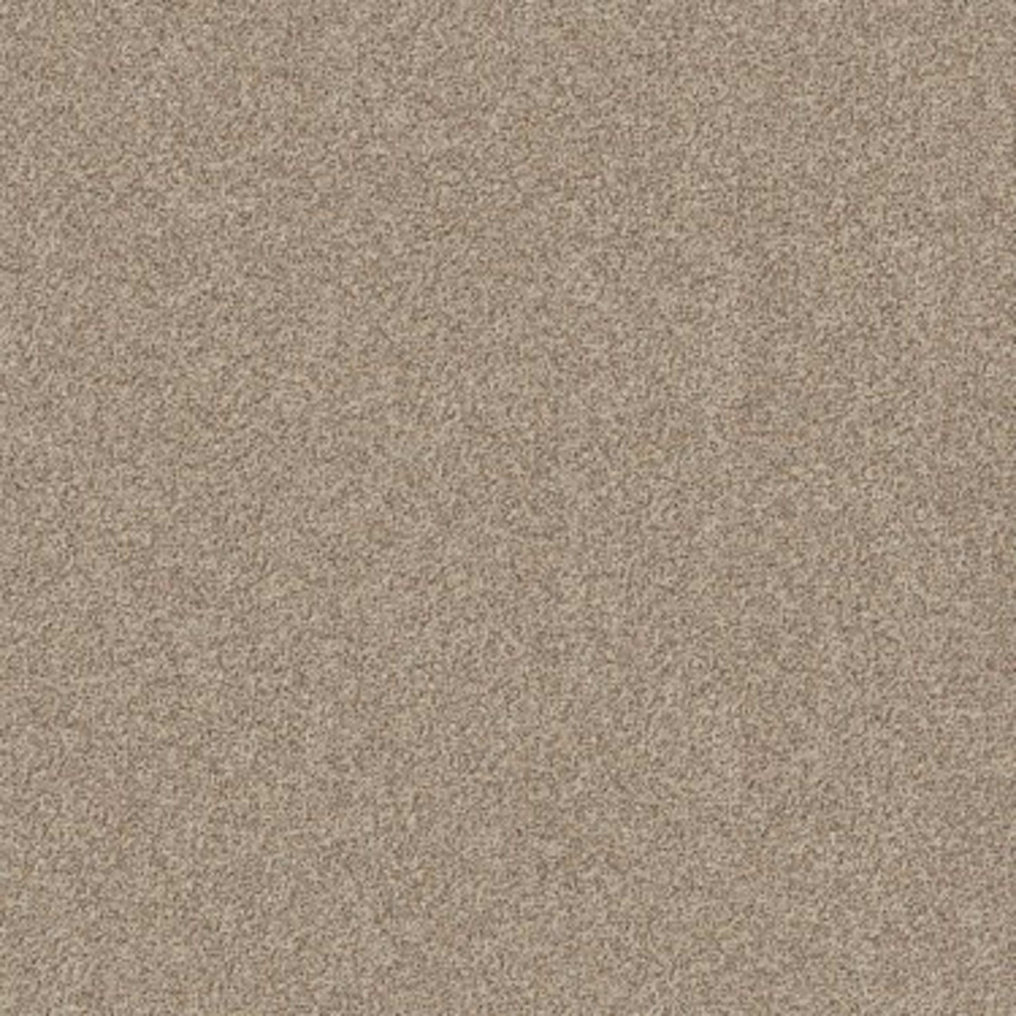 CANYON LAKE in Calm Ivory Carpet
