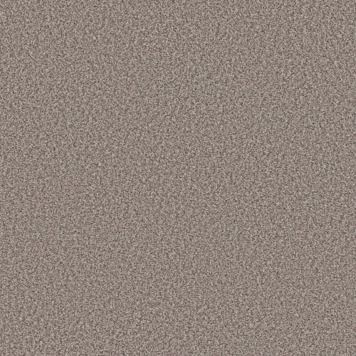 PRESCOTT VALLEY in Chic Taupe