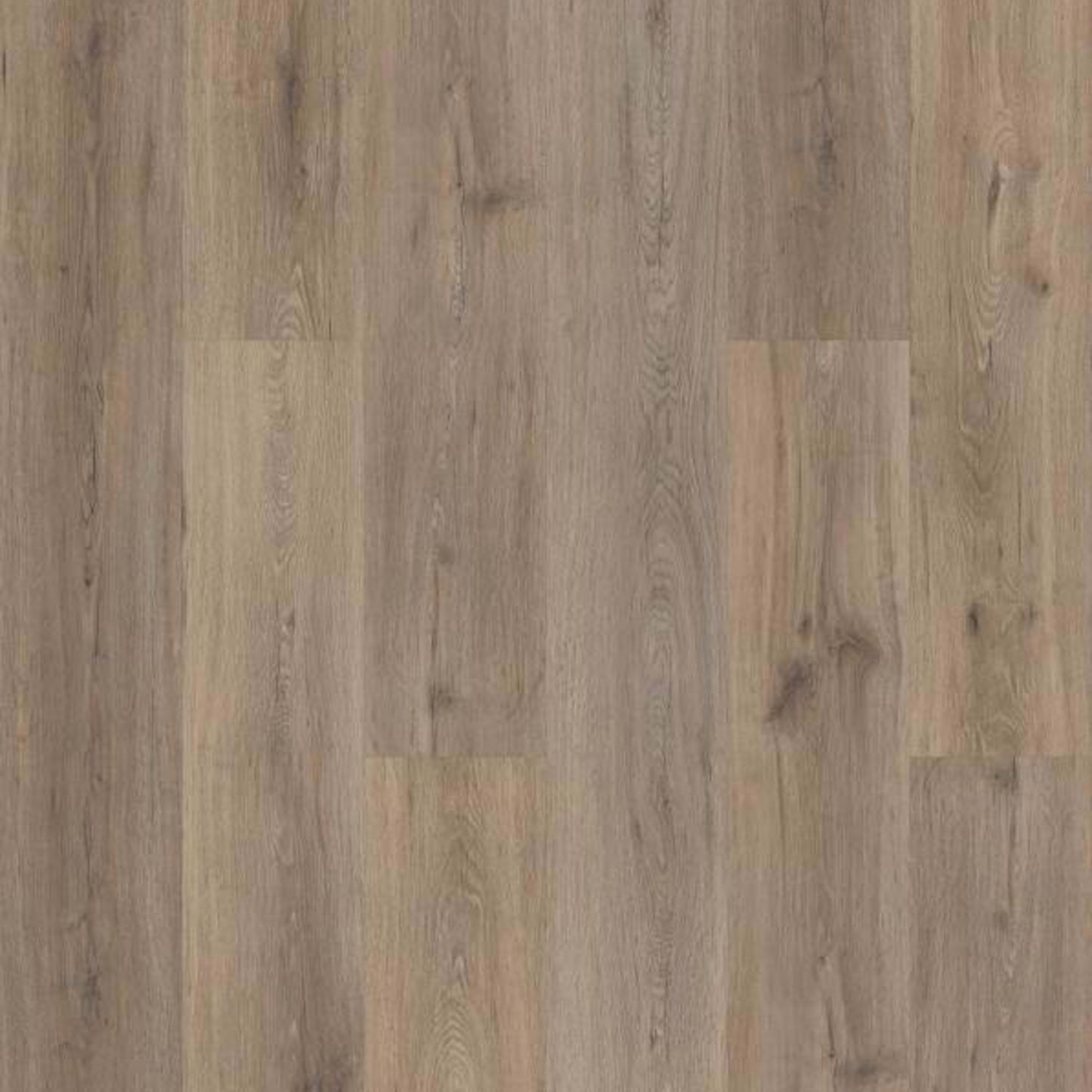 FRONTIER PLUS in Wild Dunes Luxury Vinyl