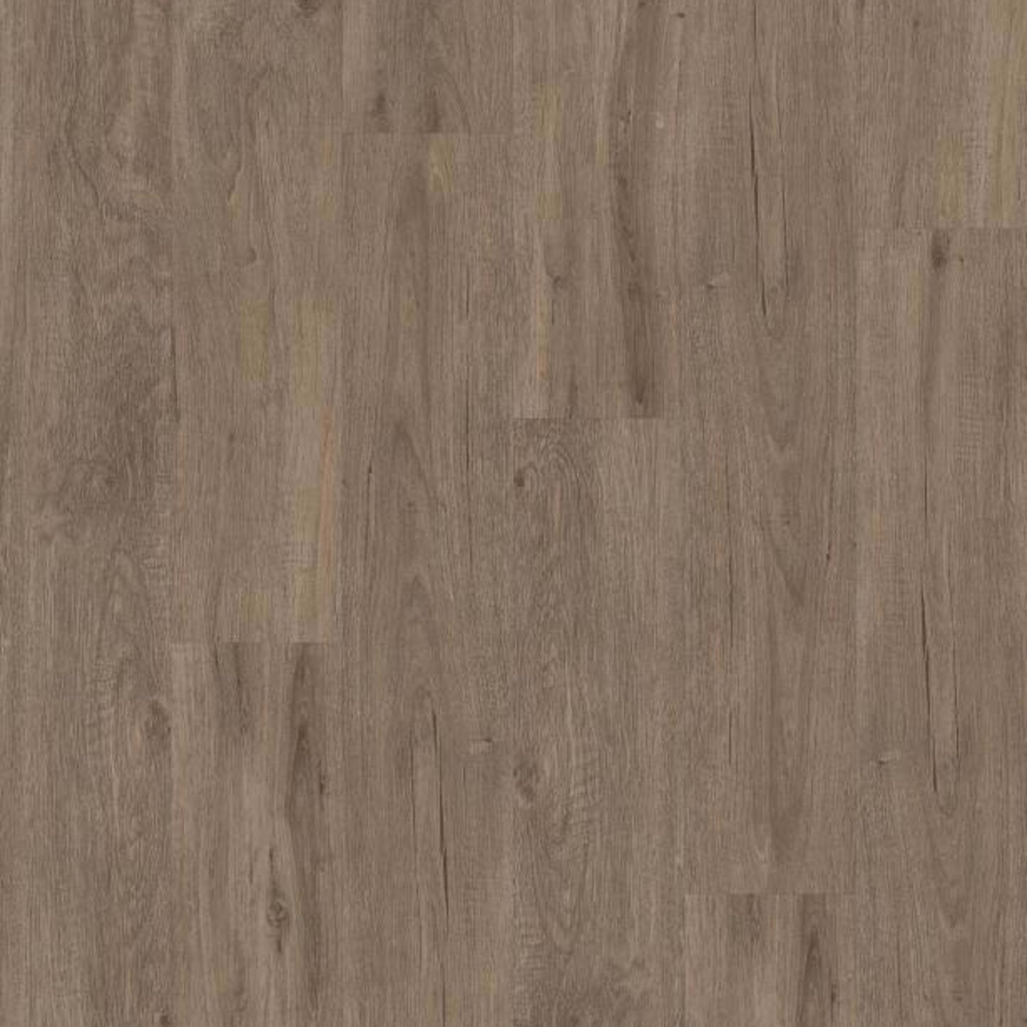 WOODWORK in Dovetail Luxury Vinyl