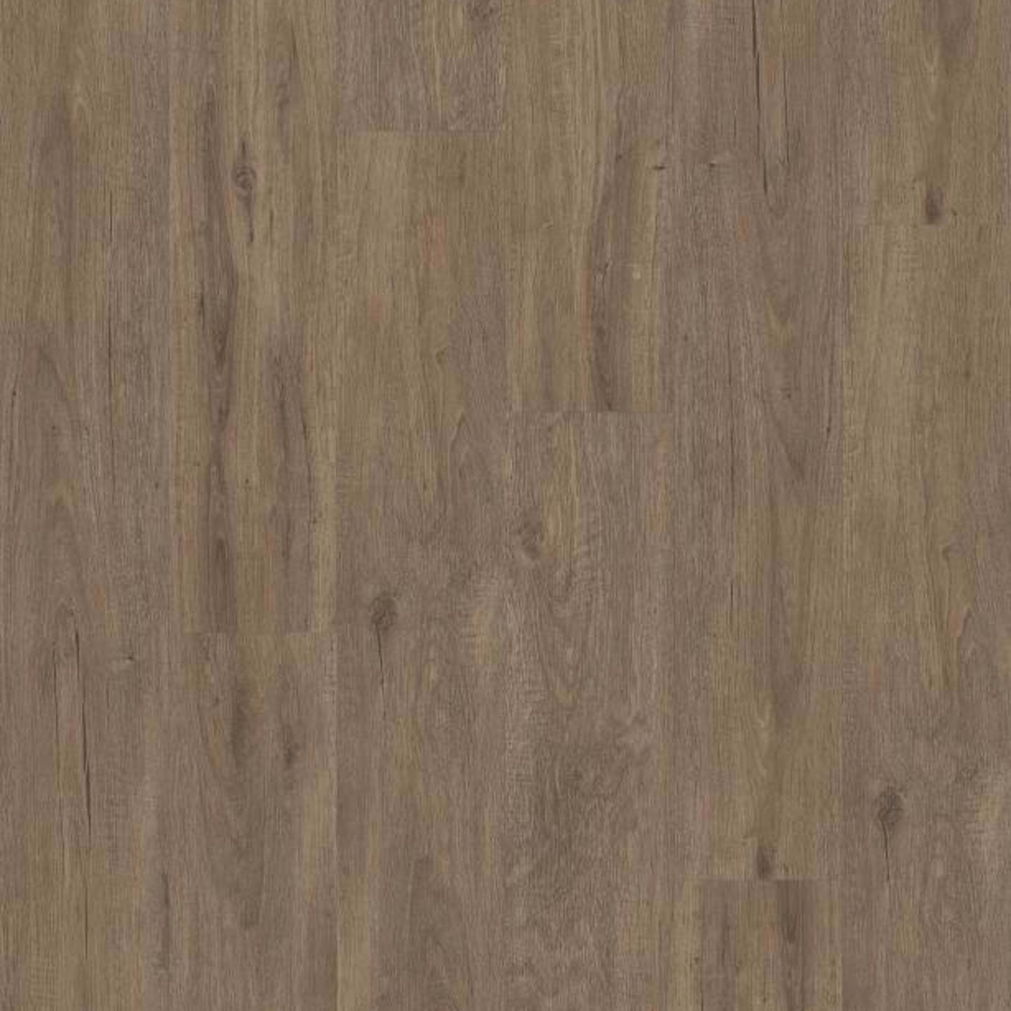 WOODWORK in Sawdust Luxury Vinyl