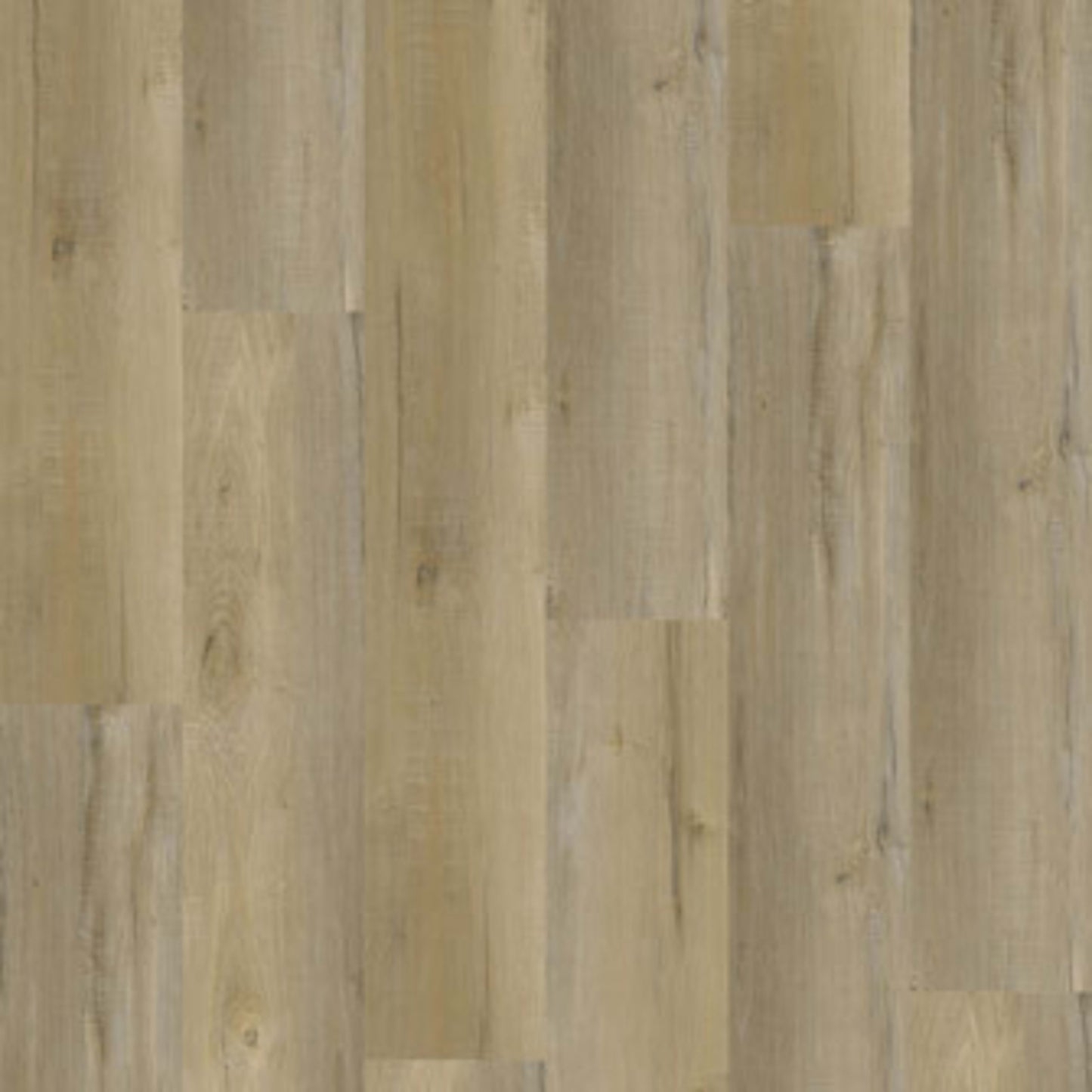 Bliss 5.0 in Nokomis Luxury Vinyl