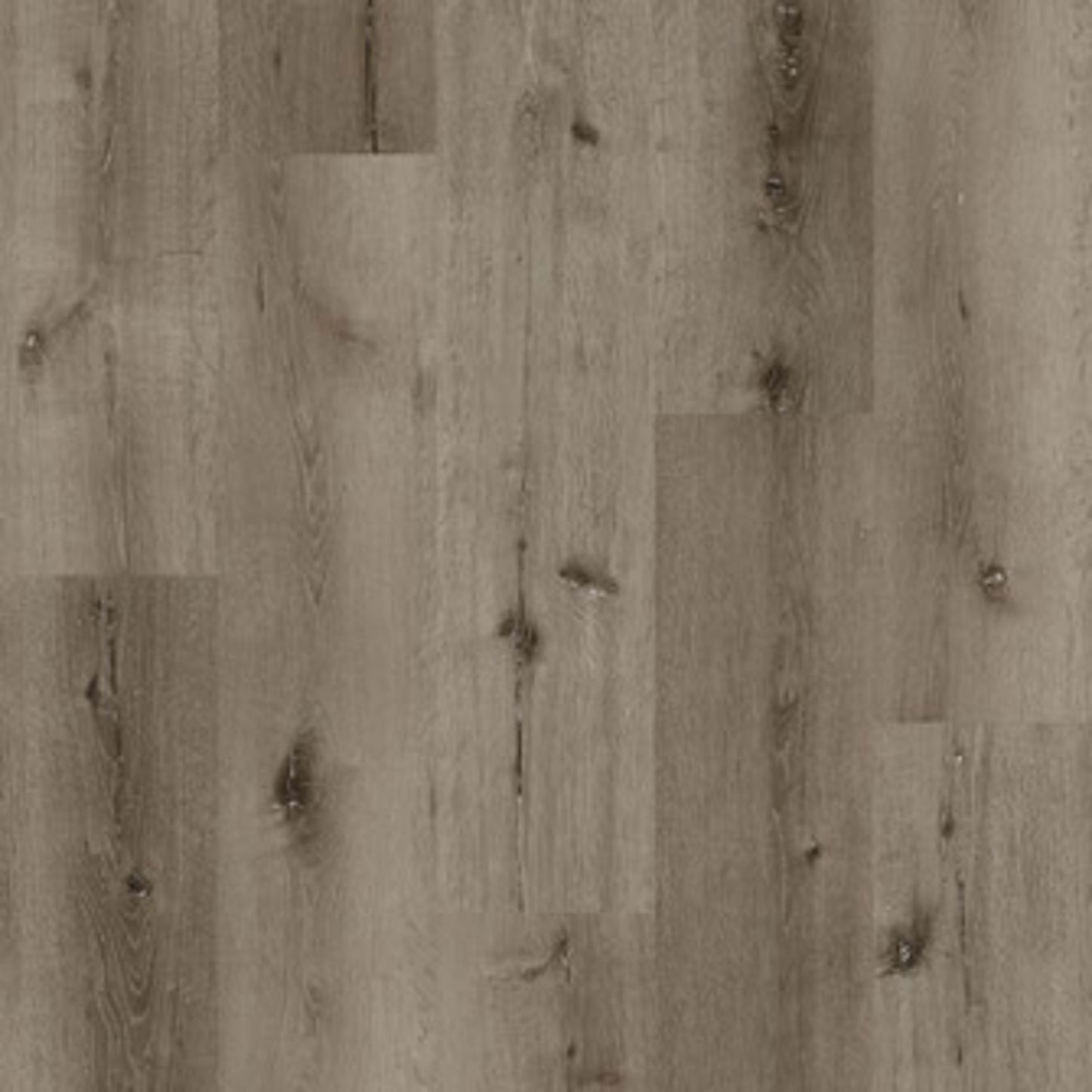 Bliss 5.0 in Tamarack Luxury Vinyl