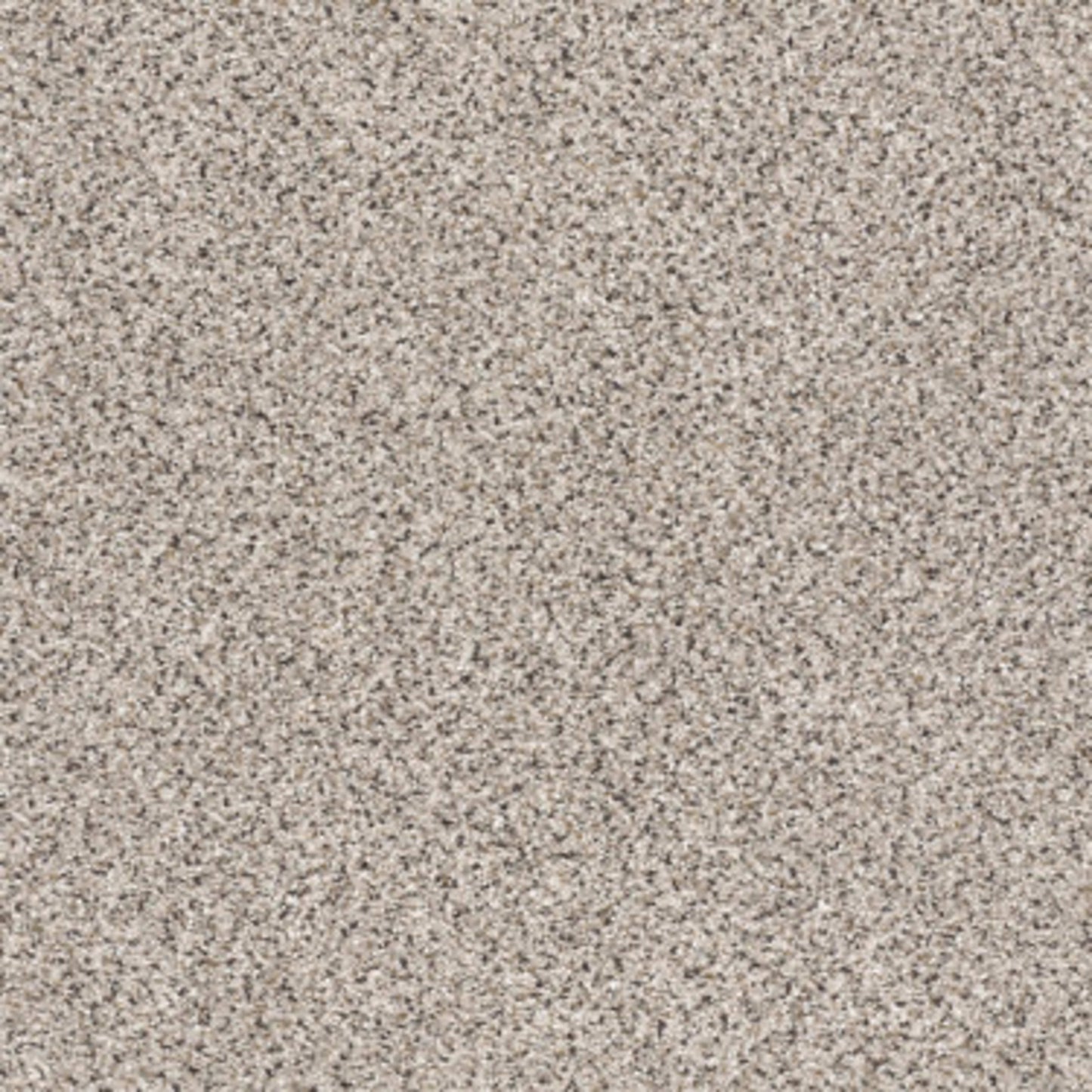 TAKE THE FLOOR ACCENT II