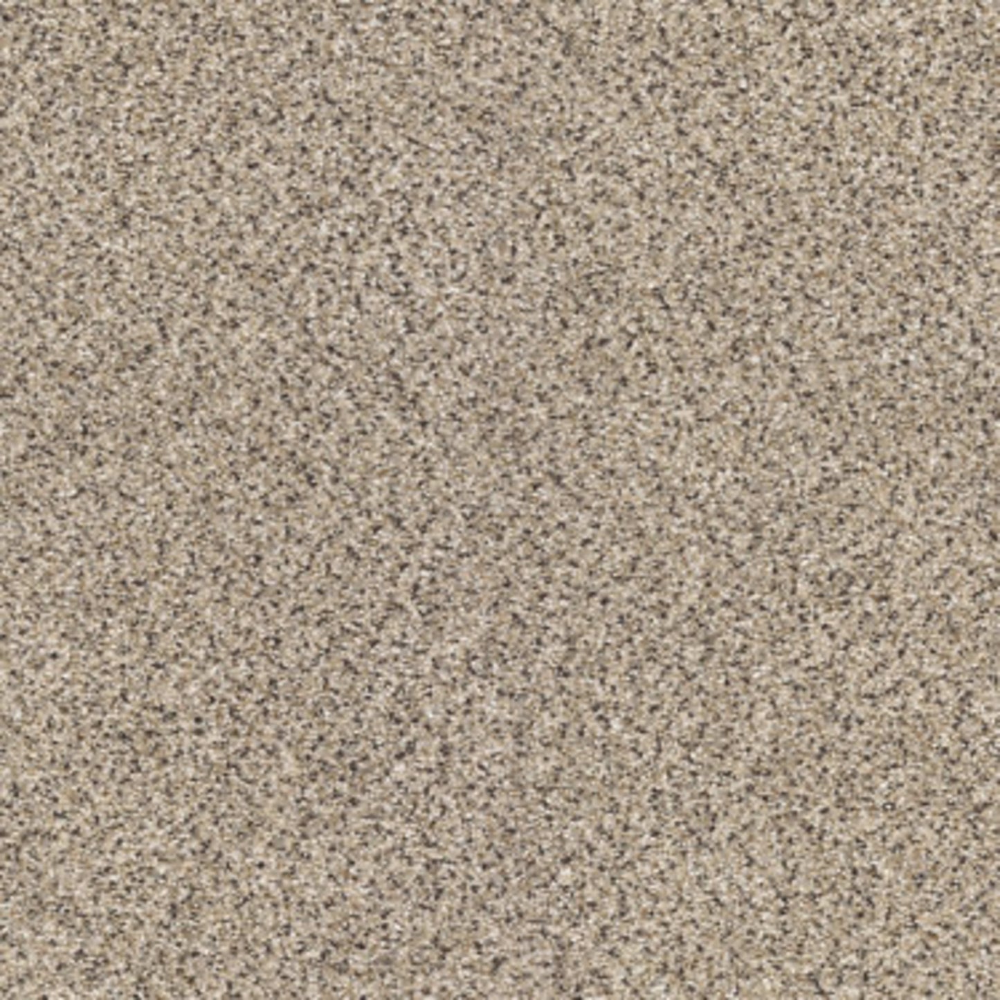 TAKE THE FLOOR ACCENT II