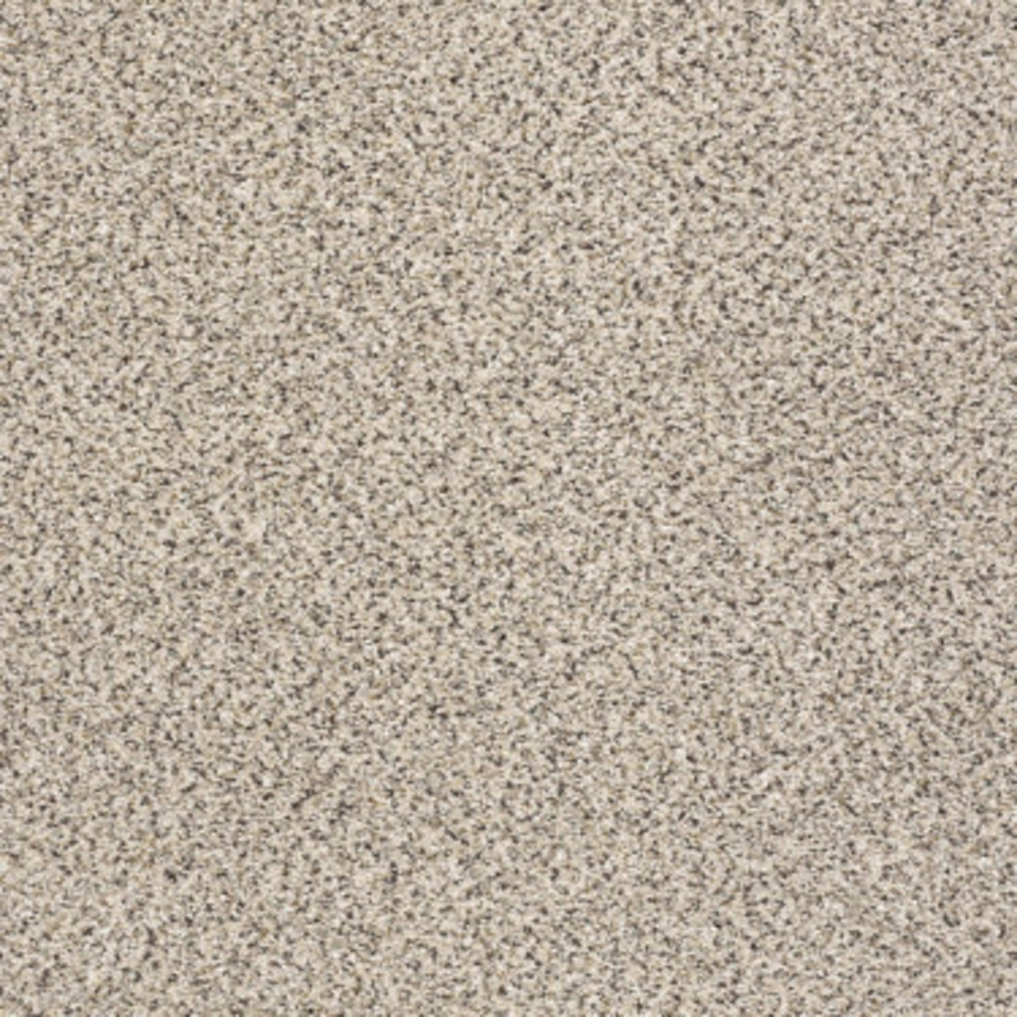 TAKE THE FLOOR ACCENT II in Luna Carpet
