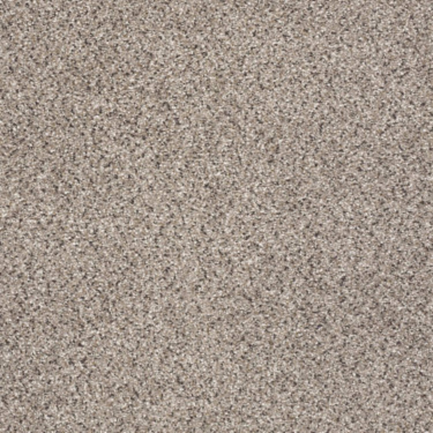 TAKE THE FLOOR ACCENT II