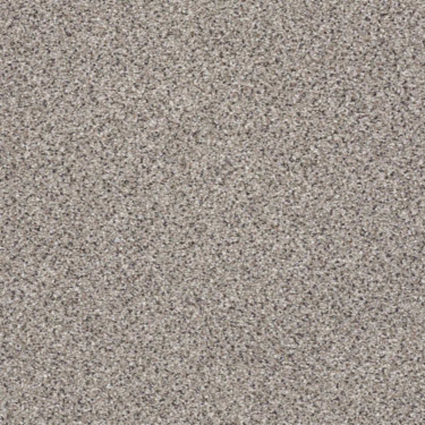TAKE THE FLOOR ACCENT II