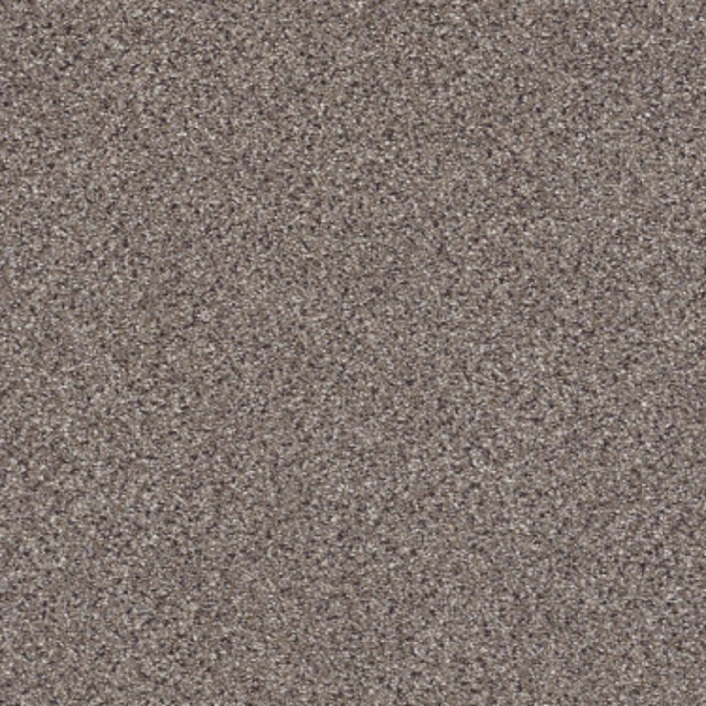 TAKE THE FLOOR ACCENT II