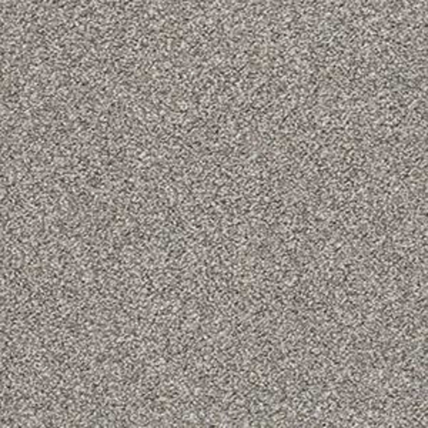 POISED in Flannel Gray Carpet