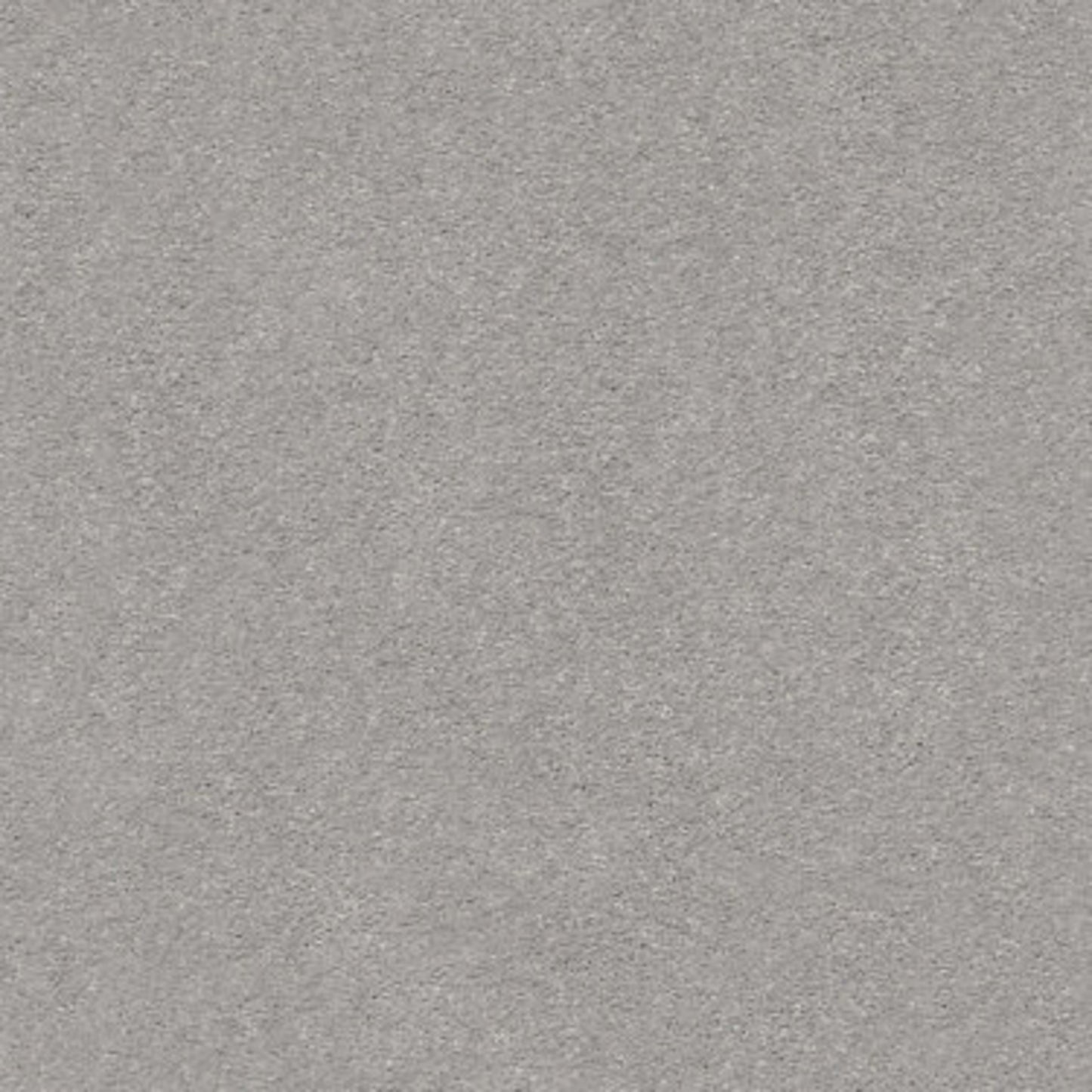 MONTAGE II