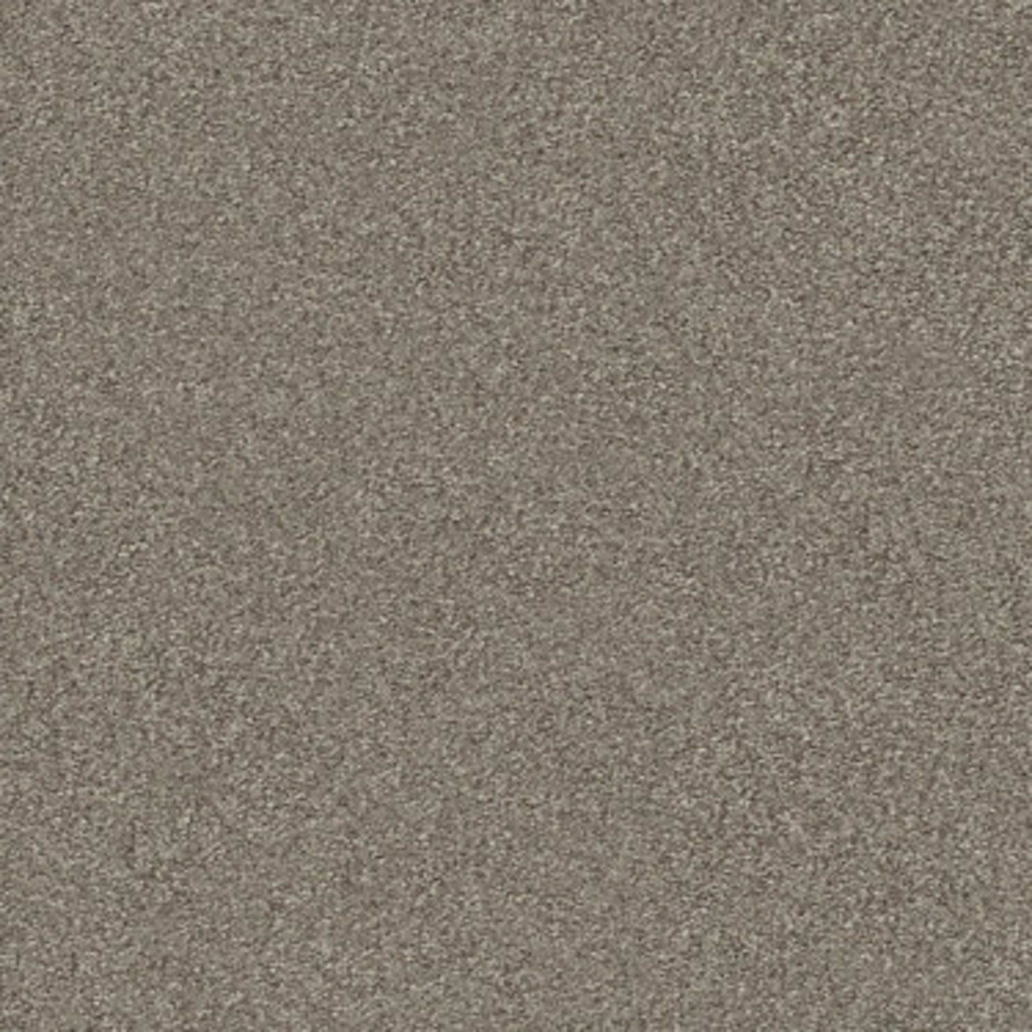 MONTAGE II in Midtown Brown Carpet