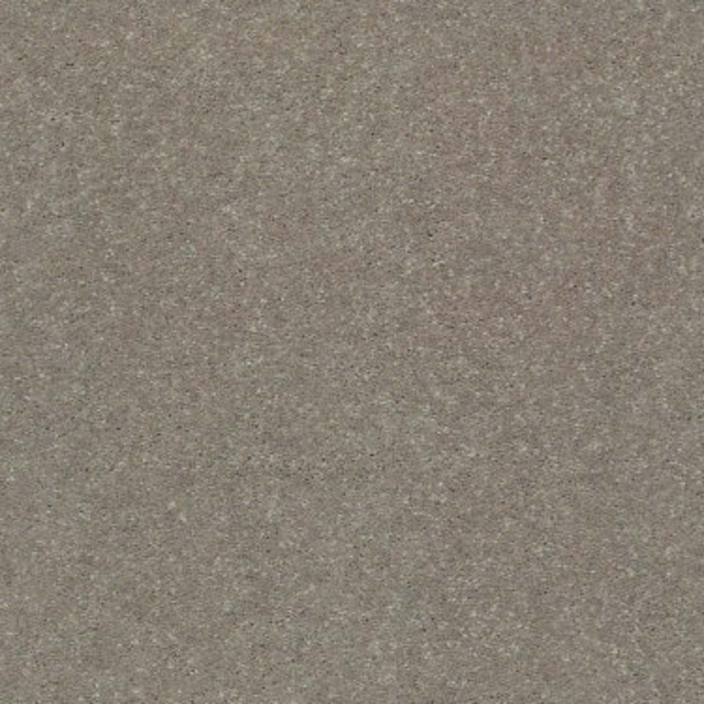 SOLIDIFY II 15' in Natural Contour Carpet