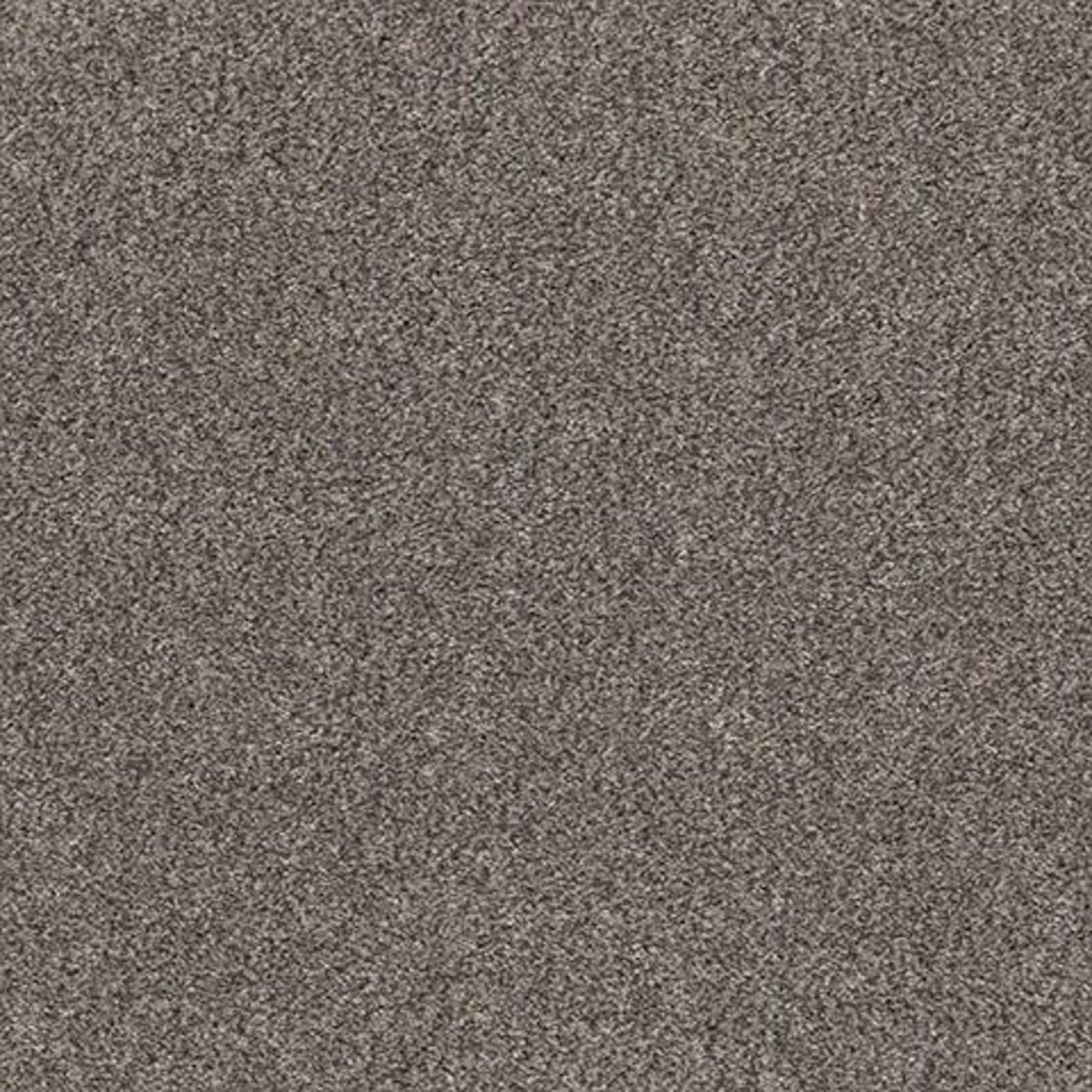 CALM SIMPLICITY I in Shoreline Carpet