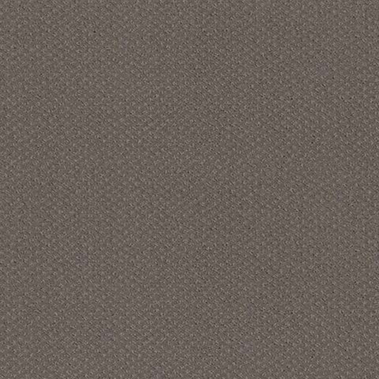 MAINSTAY in Ridgeview Carpet