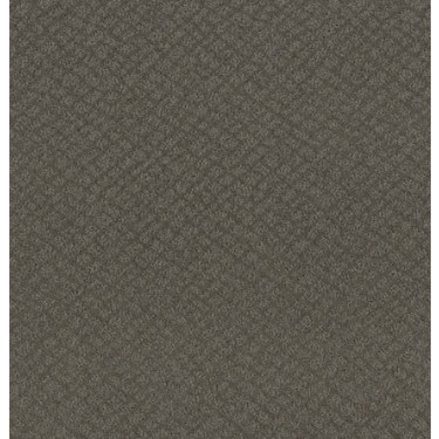 CHIC SHADES in Ridgeview Carpet