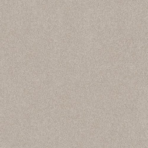HARMONIOUS I in Split Sediment