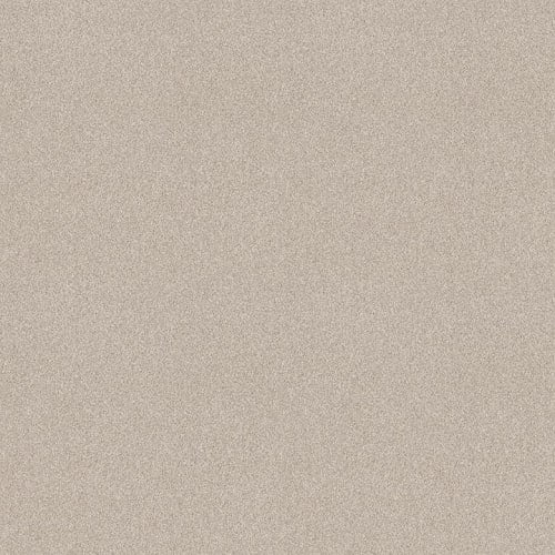 HARMONIOUS I in Champagne Toast