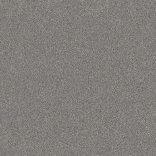 HARMONIOUS III in Grey Fox