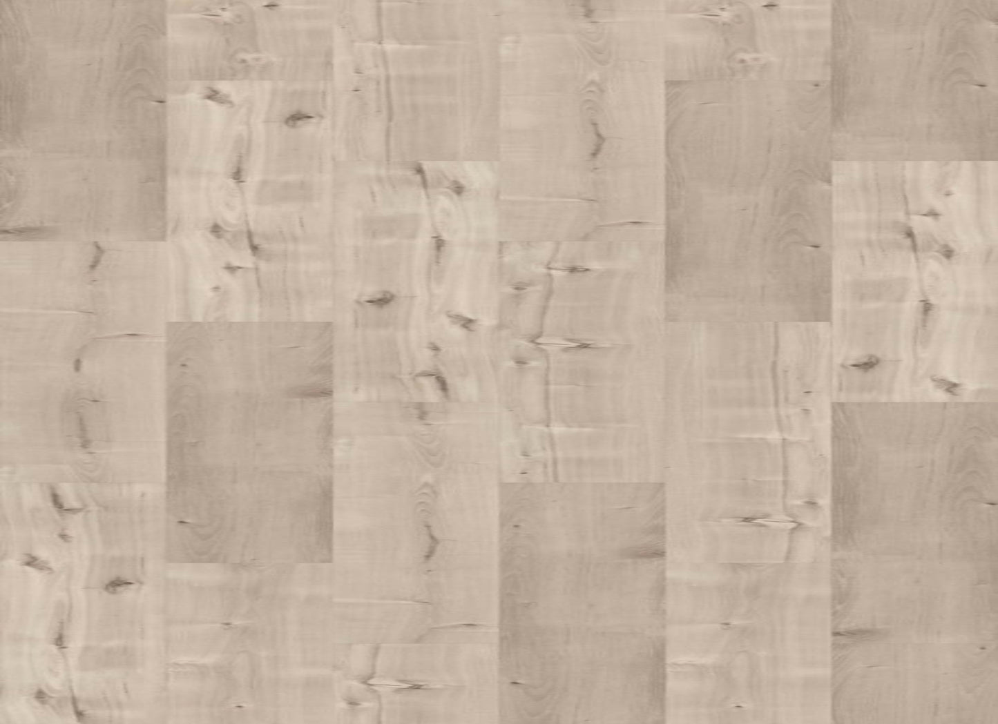 SYMBIOTIC 12 in Canvas