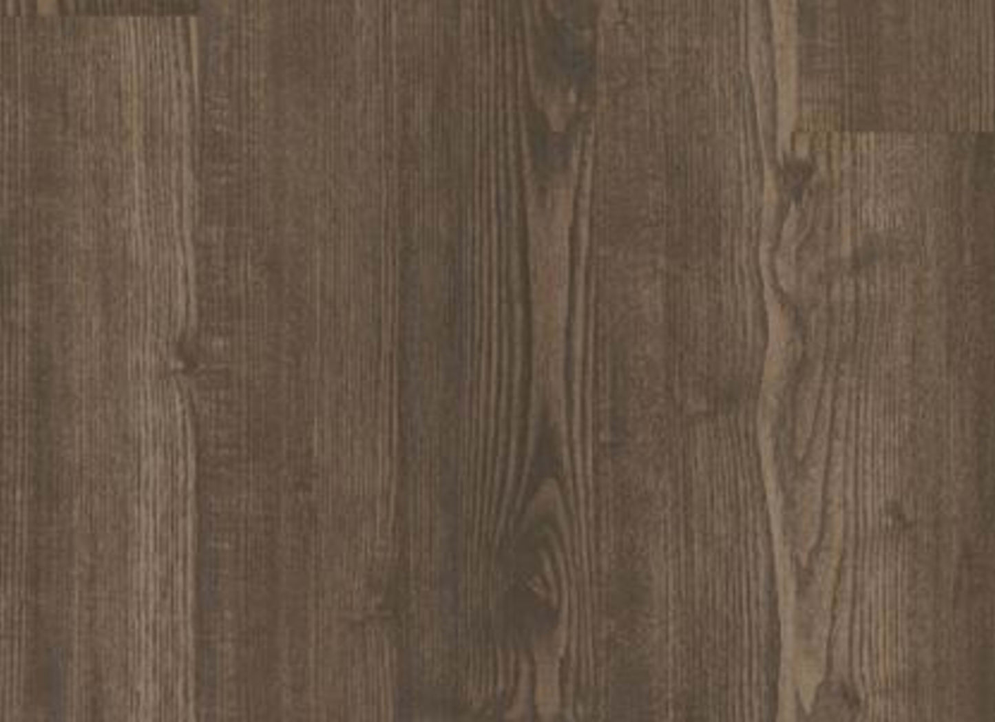 SYMBIOTIC 5.0 in Sweetgum
