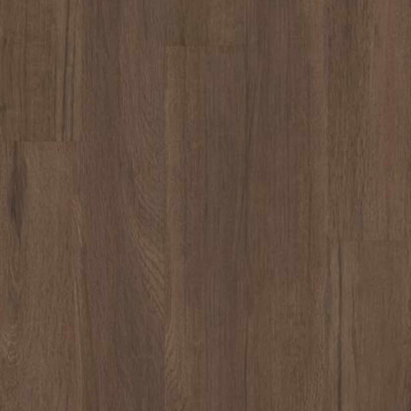 BREAKER'S POINT 5.0 in Saguaro Luxury Vinyl