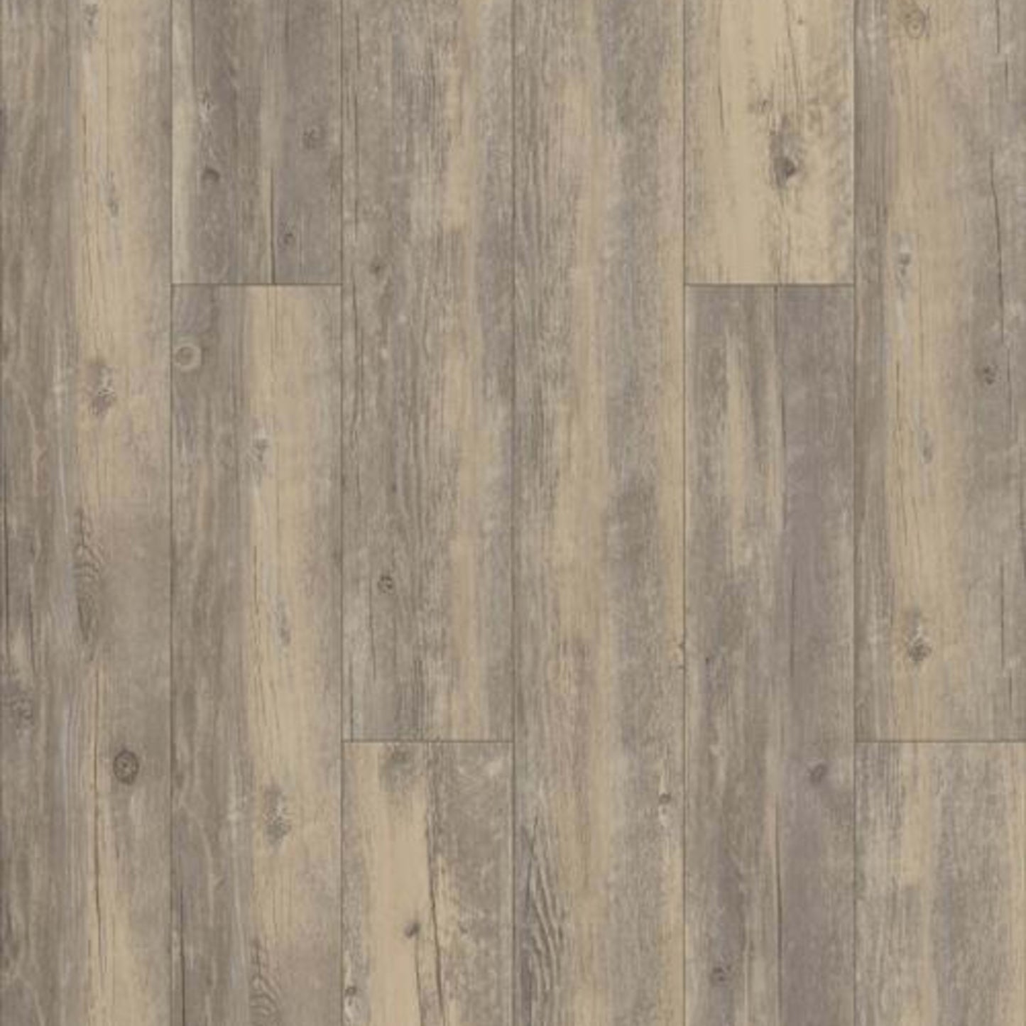 RAPID RESPONSE 6 in Brisbane Luxury Vinyl
