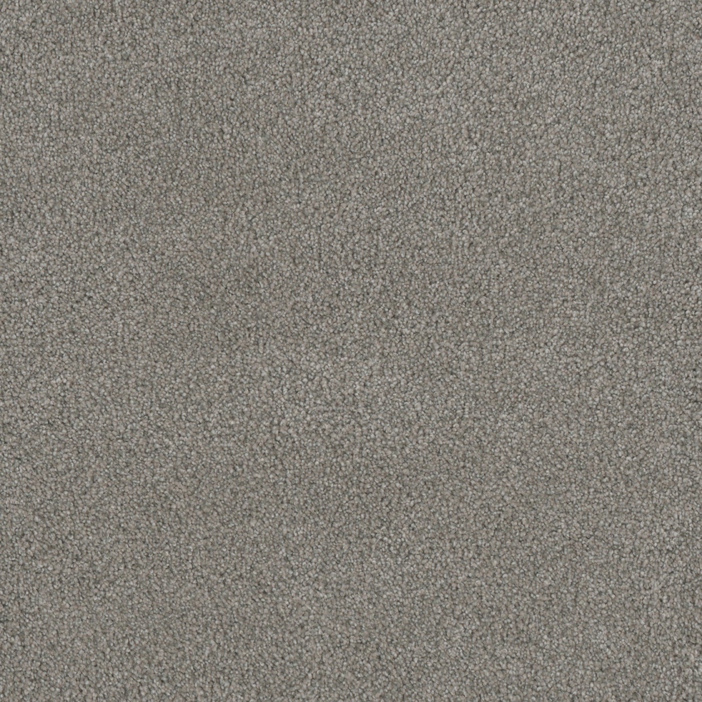MONTE CARLO I