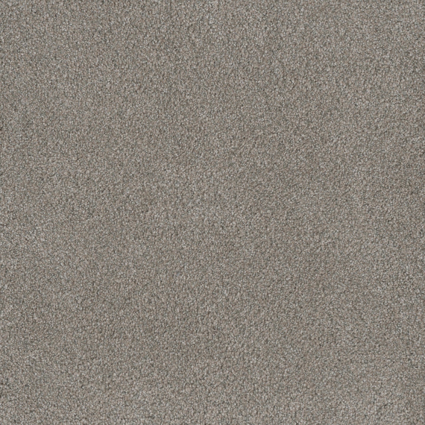 MONTE CARLO I